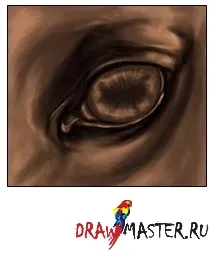 Малюємо очей коня
