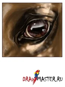 Малюємо очей коня