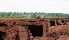 Ріг носорога переважно складається з того ж речовини, що і
