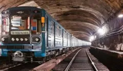 Ріг носорога переважно складається з того ж речовини, що і
