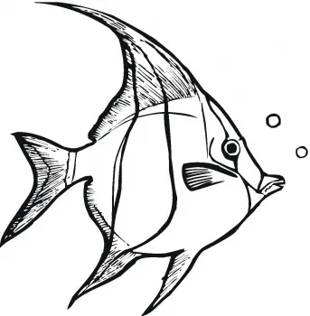 Малюнки на морську тему, батик і я (морську) Малюнки на морську тему, батик і я