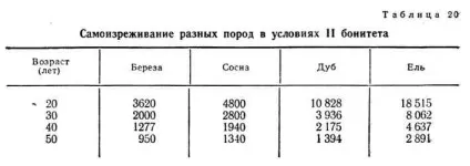 Природне изреживание лісових насаджень