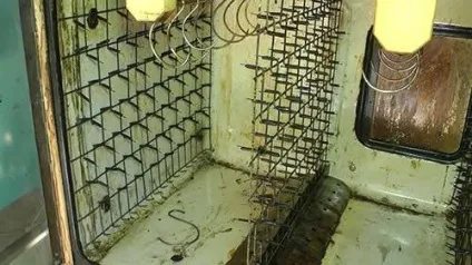 Електростатична коптильня своїми руками докладний відеоогляд (своїми) Електростатична коптильня своїми руками докладний відеоогляд
