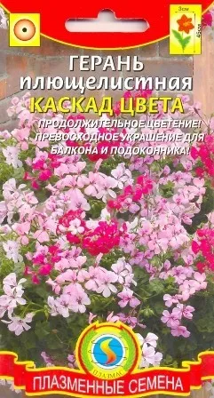 Садова герань особливості вирощування багаторічних рослин своїми руками, сорти, фото і відео (герань) Садова герань особливості вирощування багаторічних рослин своїми руками, сорти, фото і відео