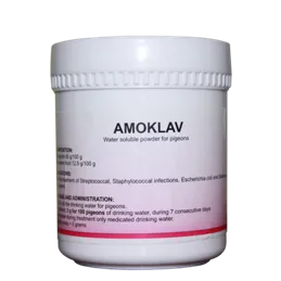 Сальмонельоз голубів (паратиф)