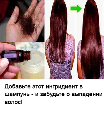Справжнісінька шпаргалка на літо! Все, що потрібно знати про огірки (огірках) Справжнісінька шпаргалка на літо! Все, що потрібно знати про огірки