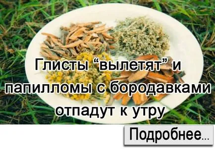 Справжнісінька шпаргалка на літо! Все, що потрібно знати про огірки (Обприскати полити огірки) Справжнісінька шпаргалка на літо! Все, що потрібно знати про огірки