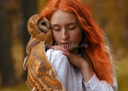 Садова фігура сова своїми руками (фігура) Садова фігура сова своїми руками