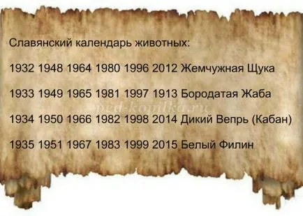 Садова фігура сова своїми руками (садові) Садова фігура сова своїми руками