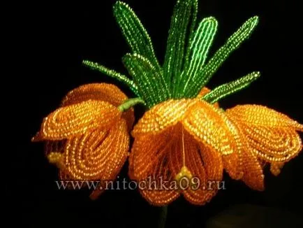 Рябчик імператорський з бісеру (конкурс)