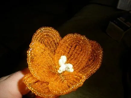 Рябчик імператорський з бісеру (конкурс)