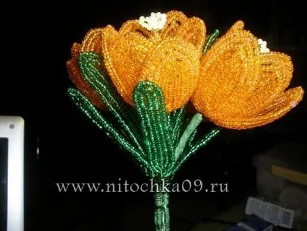 Рябчик імператорський з бісеру (конкурс)