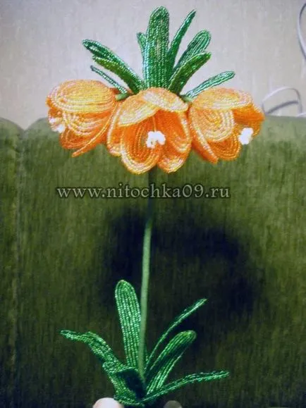 Рябчик імператорський з бісеру (конкурс)