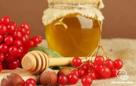 Самостійне лікування гаймориту народними засобами (лікування) Самостійне лікування гаймориту народними засобами