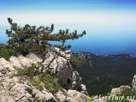 Самостійно по криму