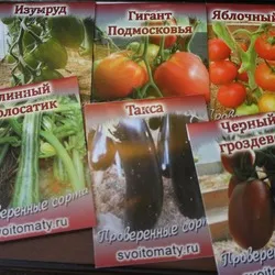 Насіння томатів від колекціонерів (томати) Насіння томатів від колекціонерів
