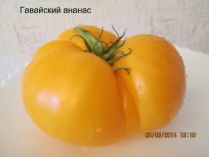 Насіння томатів від колекціонерів (насіння Лідії Ганзен) Насіння томатів від колекціонерів