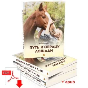 З чого почати і як продовжити або що таке школа щасливих коней alogo (чого) З чого почати і як продовжити або що таке школа щасливих коней alogo