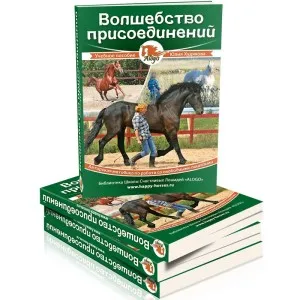 З чого почати і як продовжити або що таке школа щасливих коней alogo (чого) З чого почати і як продовжити або що таке школа щасливих коней alogo