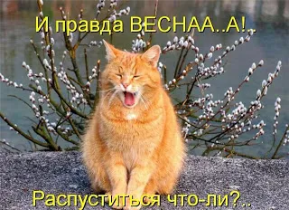 З чого починається робота над статтею блог школи копірайтингу, блог школи копірайтингу (блог школи копірайтингу) З чого починається робота над статтею блог школи копірайтингу, блог школи копірайтингу