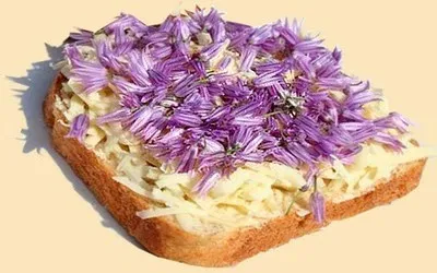 Їстівні квіти готуємо яскраві і ароматні страви! (Квіти) Їстівні квіти готуємо яскраві і ароматні страви!
