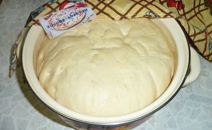 Здобне тісто на булочки на молоці з маком, родзинками, кунжутом, горіхами (тісто) Здобне тісто на булочки на молоці з маком, родзинками, кунжутом, горіхами