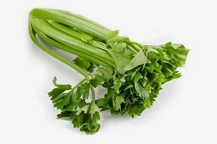 Селера листова - користь і шкода унікального рослини (користь продуктів) Селера листова - користь і шкода унікального рослини