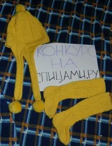 Шапка з вушками, в'язання спицями, гачком, уроки в'язання (виворітними косичка виворітними) Шапка з вушками, в'язання спицями, гачком, уроки в'язання