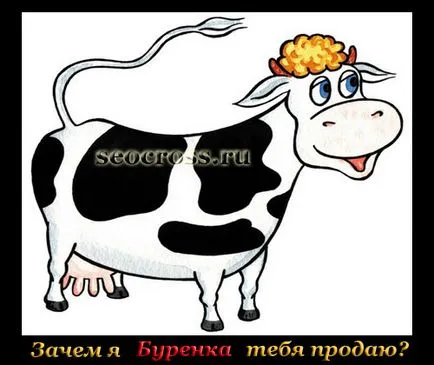 Крок № 215 як я продав сайт рівно за добу (рівно) Крок № 215 як я продав сайт рівно за добу