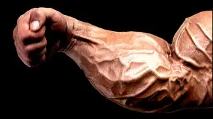 Сильні передпліччя, спорт і здоров'я (передпліччя) Сильні передпліччя, спорт і здоров'я