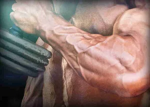 Сильні передпліччя, спорт і здоров'я (сильні) Сильні передпліччя, спорт і здоров'я