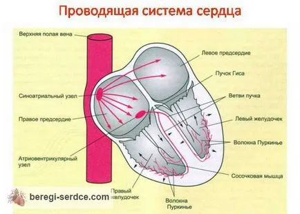 Синдром Морганьї - Адамса - Стокса невідкладна допомога, симптоми, лікування