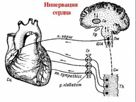 Синдром Морганьї-адамса-Стокса, невідкладна допомога при нападі