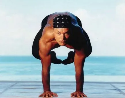 Силова йога - пауер йога (power yoga) - практика, особливості, рівні і ефект (пауер йога силова power yoga) Силова йога - пауер йога (power yoga) - практика, особливості, рівні і ефект