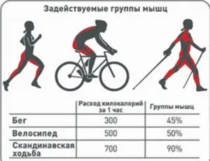 Скандинавська ходьба - користь і шкода для здоров'я (здоров'я) Скандинавська ходьба - користь і шкода для здоров'я