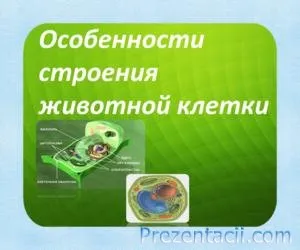 Завантажити презентації з біології - готові презентації powerpoint (біології) Завантажити презентації з біології - готові презентації powerpoint