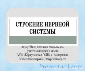 Завантажити презентації з біології - готові презентації powerpoint (презентація на тему біологія) Завантажити презентації з біології - готові презентації powerpoint