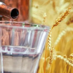 Скільки градусів самогон