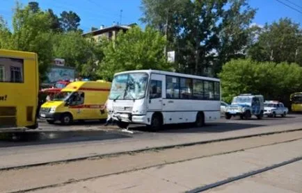 Скільки живе голуб, співрозмовник (голуб) Скільки живе голуб, співрозмовник