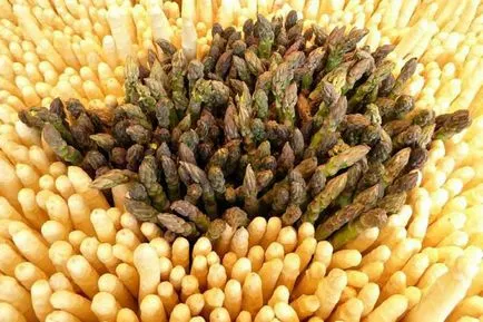 Скільки варити спаржу правила приготування продукту (варити) Скільки варити спаржу правила приготування продукту