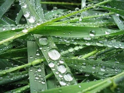 Змінна вода, наука і життя