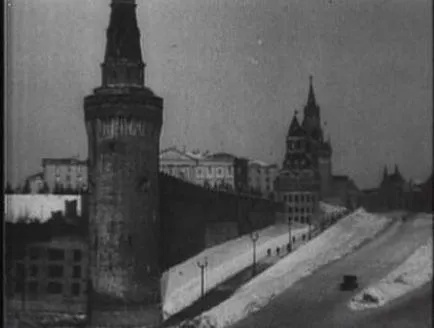 Слідство вели, чорна кішка