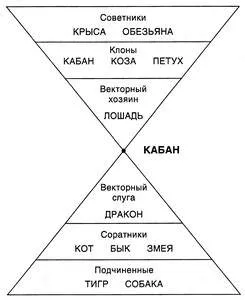Службові відносини кабана (кабана) Службові відносини кабана