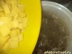 Солянка м'ясна збірна