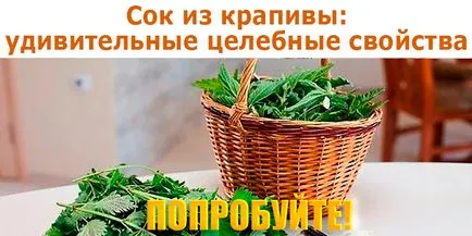 Сік з кропиви дивовижні цілющі властивості, корисні поради (цілющі) Сік з кропиви дивовижні цілющі властивості, корисні поради