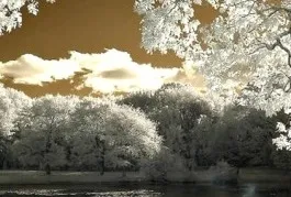 Поради по літературі (мимовільною піснею Мимовільною) Поради по літературі