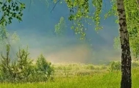 Поради по літературі (мене мучити Знову) Поради по літературі