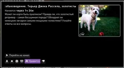 Соціальні мережі в інтерактивному телебаченні Ростелеком (мережі) Соціальні мережі в інтерактивному телебаченні Ростелеком