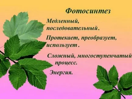 складання сінквейна