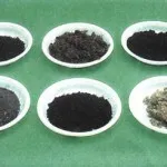 Способи вирощування кімнатних рослин (кімнатних) Способи вирощування кімнатних рослин